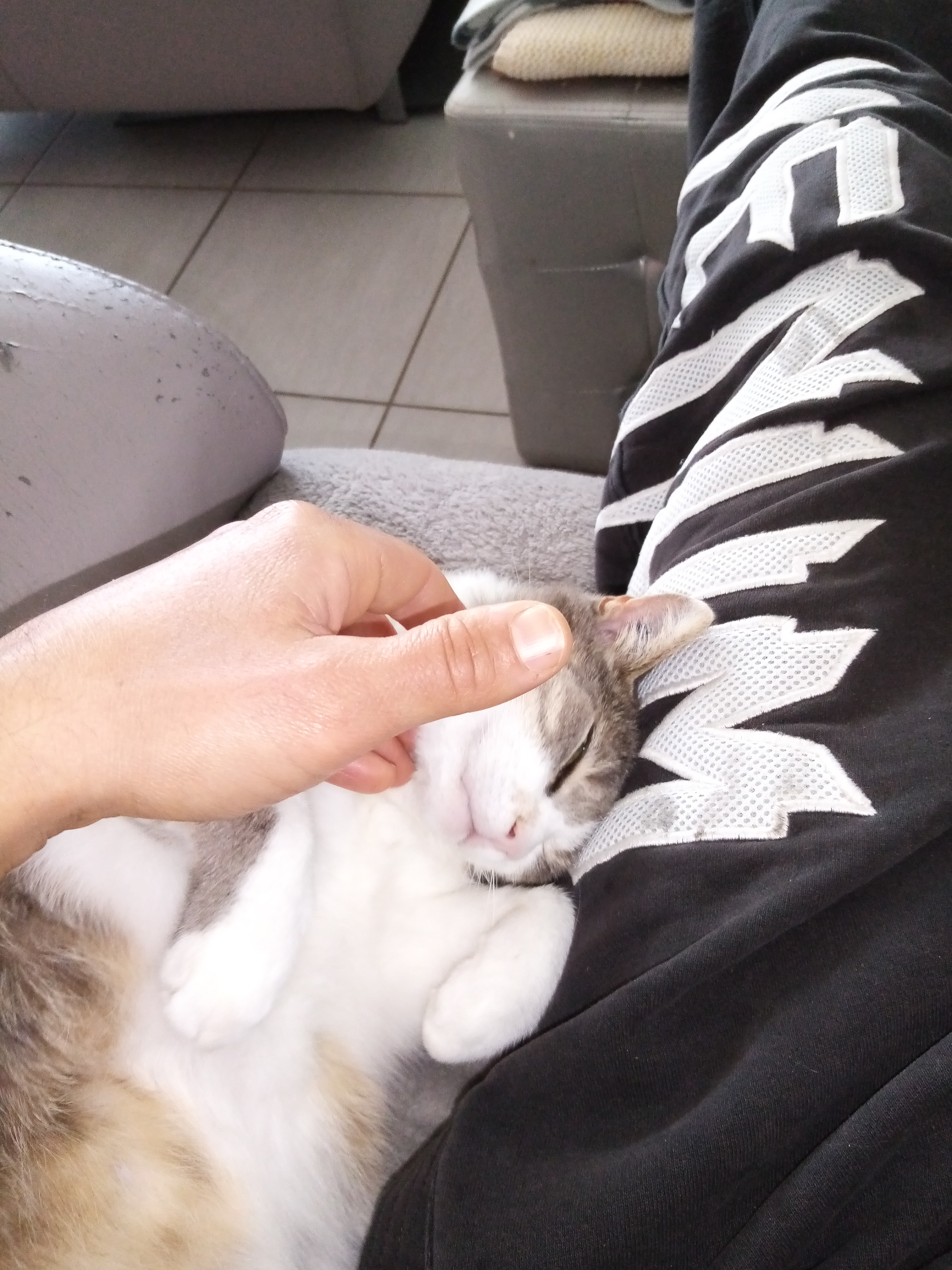 Cannelle la mascotte Cannelle la mascotte