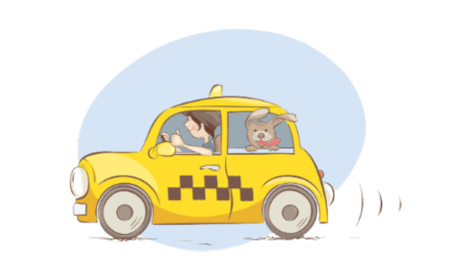 Taxi animalier Taxi animalier
